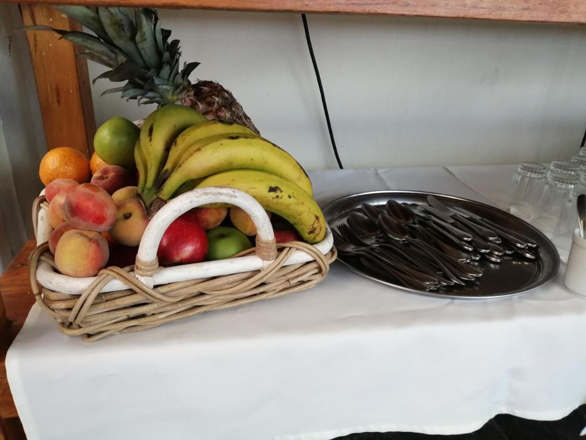 Casa Alevines Hostel & Suites Punta del Este Zewnętrze zdjęcie